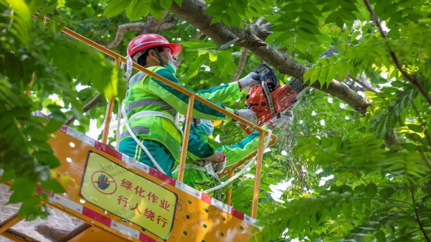 湛江找绿化工程